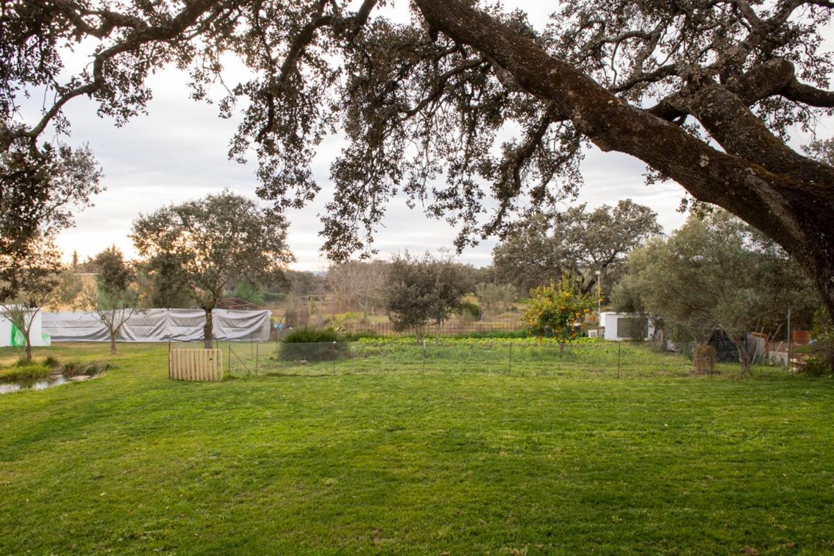 Casa di campagna La Platea Rural *